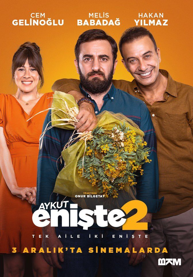 Aykut Enişte 2 film afişi
